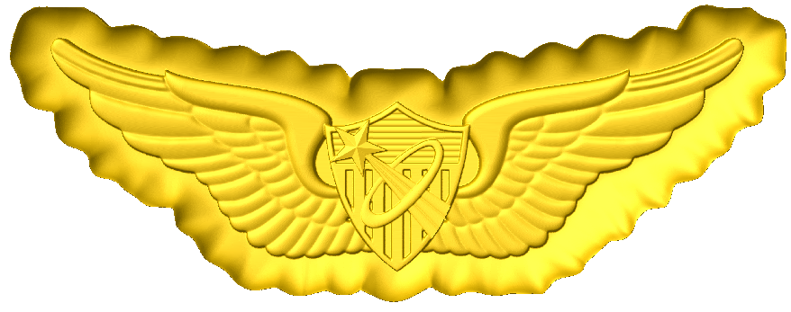 military freefall badge bundle
