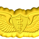 army flight surgeon c 1
