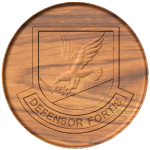 enl_sec_forces_beret_flash_b_1