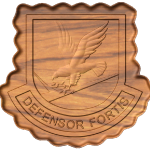 enl_sec_forces_beret_flash_c_1