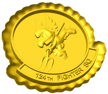 124th Fighter Squadron Style C