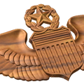 Master Pilot Badge Style A