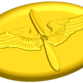 Air Force Academy Collar Emblem Style B