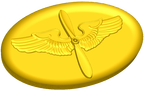 Air Force Academy Collar Emblem Style B