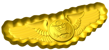 Enlisted Aircrew Badge Style C