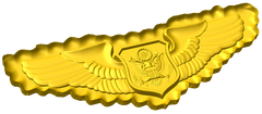 Officer Aircrew Badge Style C