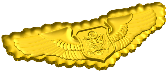 Officer Aircrew Badge Style C