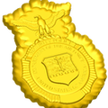 Security Police Badge Style C