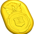 Security Police Badge Style B