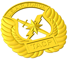 Tactical Air Control Party Badge Style A