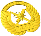 Tactical Air Control Party Badge Style A