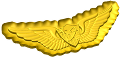 Army Astronaut Badge Style C