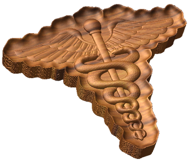US Army Medical Corps Insignia Style C