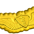 Army Flight Surgeon Badge Style C