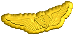 Army Flight Surgeon Badge Style C