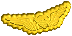 Army Pilot Wings Style C