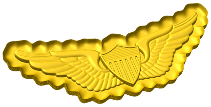 Army Pilot Wings Style C