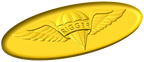 Parachute Rigger Badge Style B