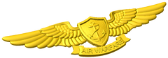 Enlisted Aviation Warfare Specialist Badge Style A
