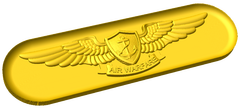 Enlisted Aviation Warfare Specialist Badge Style B
