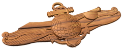 Enlisted Information Dominance Warfare Specialist Badge A