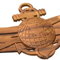 Enlisted Information Dominance Warfare Specialist Badge A