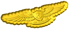 Enlisted Aviation Warfare Specialist Badge Style C