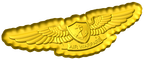Enlisted Aviation Warfare Specialist Badge Style C