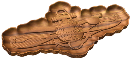 Enlisted Information Dominance Warfare Specialist Badge C