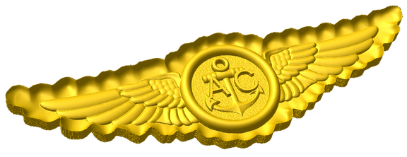 Navy Enlisted Aircrew Badge Style C