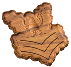 Petty Officer First Class Pin Style C