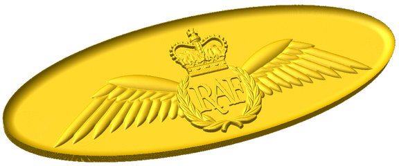 RAF Pilot Brevet Style B