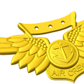 Combat Aircraft Crewman Wings Style A