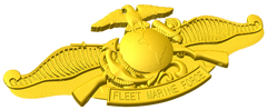 Fleet Marine Force Badge Style A