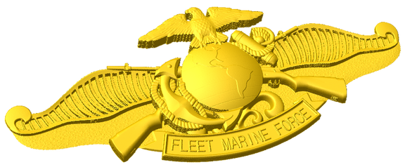 Fleet Marine Force Badge Style A