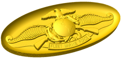 Fleet Marine Force Badge Style B