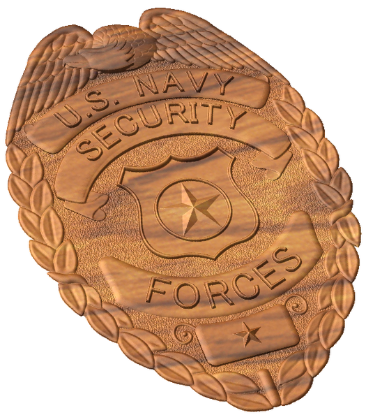 navy_security_badge_a_2.png