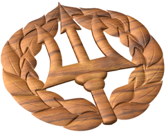 Navy Command Ashore Pin Style A