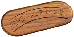 Special Forces Tab Style B