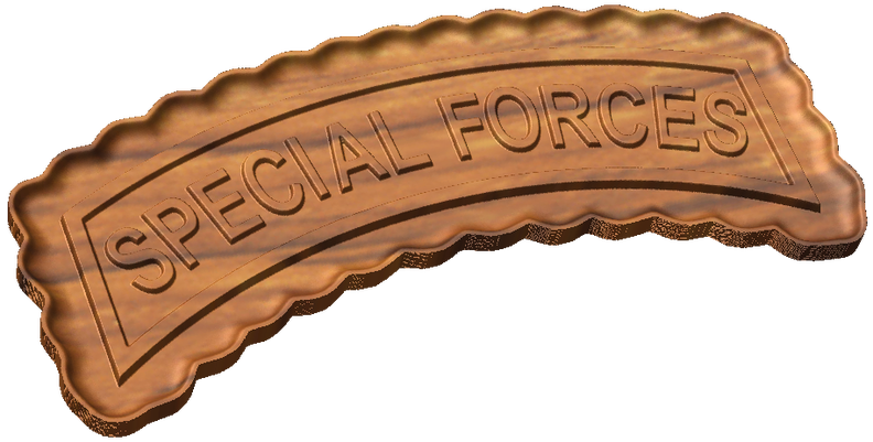 Special Forces Tab Style C