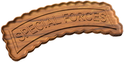 Special Forces Tab Style C