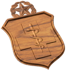 USAF Master Medic Badge Style A
