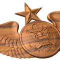 Senior Enlisted Aircrew Badge Style A