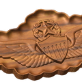 Master Army Aviator Badge Style C
