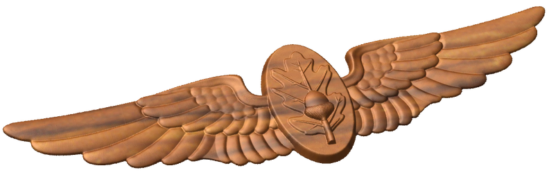 Navy Flight Surgeon Badge Style A