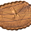 Army Career Counselor Badge Style C