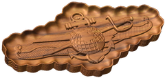 Information Dominance Warfare Officer Badge Style C