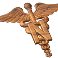 US Army Nurse Corps Insignia Style A