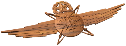 Master Cyberspace Operator Badge Style A