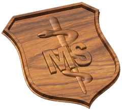 USAF Medical Service Badge Style A